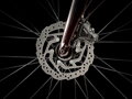 Bicykel Trek FX Sport 5 Carbon bordový