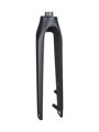 Trek 2020-2022 Allant+ 9.9 700c Rigid Forks - Trek Black