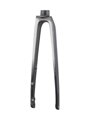Trek 2021 Emonda SL 700c Rigid Forks - Lithium Grey/Onyx Carbon