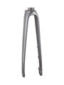 Trek 2021 Emonda SL 700c Rigid Forks - Lithium Grey/Onyx Carbon