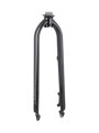 Electra Townie Go! 5i 26" Rigid Fork - Ebenová