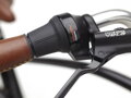 Townie Go! 5i Step-Over - Ebony