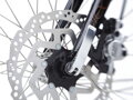Townie Go! 5i Step-Thru - Ebony