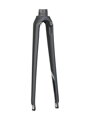 Trek 2019 Emonda ALR 700c Fork