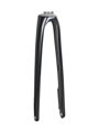 Vidlice Trek 2020 Domane SL 4 - Trek Black/purpurová