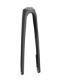 Vidlice Trek 2020 Domane SL 6 - Trek Black