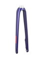 Trek 2021 Domane AL 2 700c Disc Rigid Forks - Purple Abyss/Trek Black