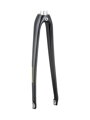 Trek 2021 Domane AL 2 700c Rigid Forks - Trek Black/Carbon Smoke