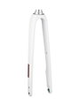 Trek 2021 Domane AL 3 700c Disc Rigid Forks - Krištáľová biela/Trek Black