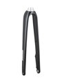 Trek 2021 Domane AL 4 700c Disc Rigid Forks - Trek Black