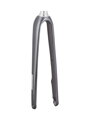 Trek 2021 Domane AL 5 700c Disc Rigid Forks - Lithium Grey/Trek Black
