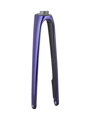 Trek 2021 Domane SL 700c Rigid Forks - Purple Abyss/Trek Black