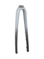 Trek 2021 Emonda ALR 5 700c Rigid Forks - Bridlicová/Trek Black