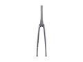 Trek 2021 Madone SLR Forks