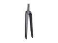Trek 2021 Madone SLR Forks