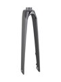 Trek 2021 Madone SLR 700c Rigid Forks - Trek Black/Carbon