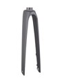 Trek 2021 Madone SLR 700c Rigid Forks - Onyx Carbon