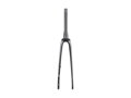 Trek 2023 Madone SL6 Forks - Dnister Black/Trek Black