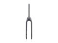 Trek 2020-2022 Allant+ 9.9 700c Rigid Forks - Dark Prismatic