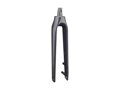 Trek 2020-2022 Allant+ 9.9 700c Rigid Forks - Dark Prismatic