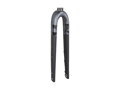 Trek Checkpoint ALR 700c Rigid Fork - Šedá/Carbon Smoke