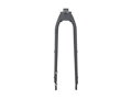 Trek Dual Sport 1 Thru-Axle 29