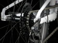 Wahoo 26 Path - White Prismatic