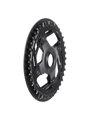Trek-Diamant E-bike Chainring