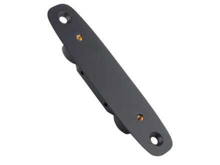 Kontrolní jednotka Trek Domane. - Trek Black