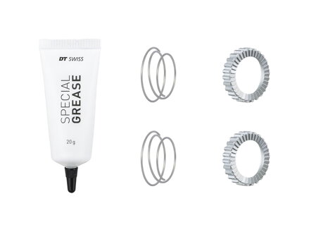 Bontrager DT Swiss 36 Tooth Superlight Star Ratchet Kit - Strieborná