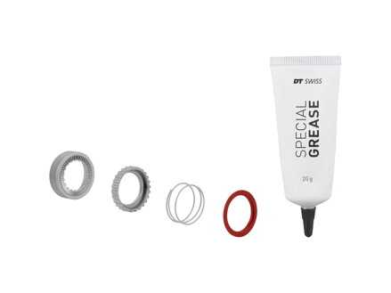 Bontrager DT Swiss 54 Tooth Ratchet EXP Kit - Strieborná