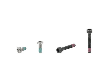 Electra Townie Go! 5i Rack Bolt Set - Strieborná