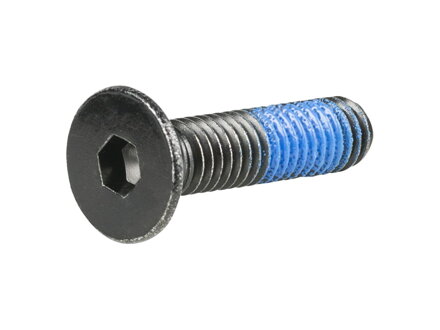 Trek 2023-2024 Fuel EXe Rocker Pivot Flat Head Cap Bolt - Čierna
