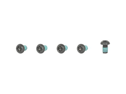 Trek M6 Round Flanged Head Screw Torx - Čierna