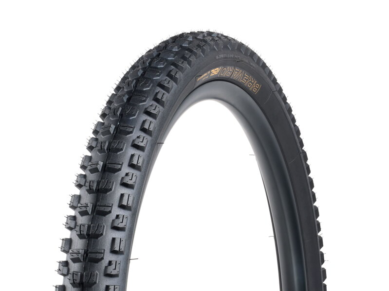 Pneumatika Bontrager Brevard RSL SE TLR MTB