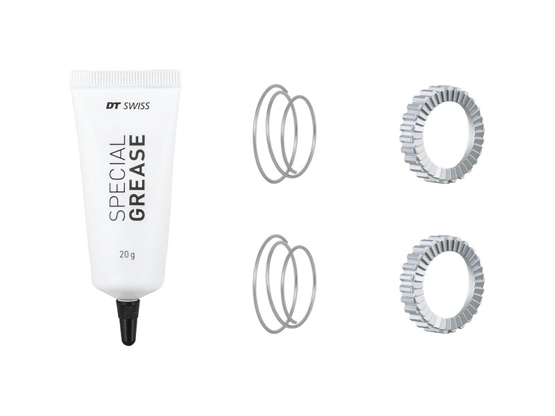 Bontrager DT Swiss 36 Tooth Superlight Star Ratchet Kit - Strieborná
