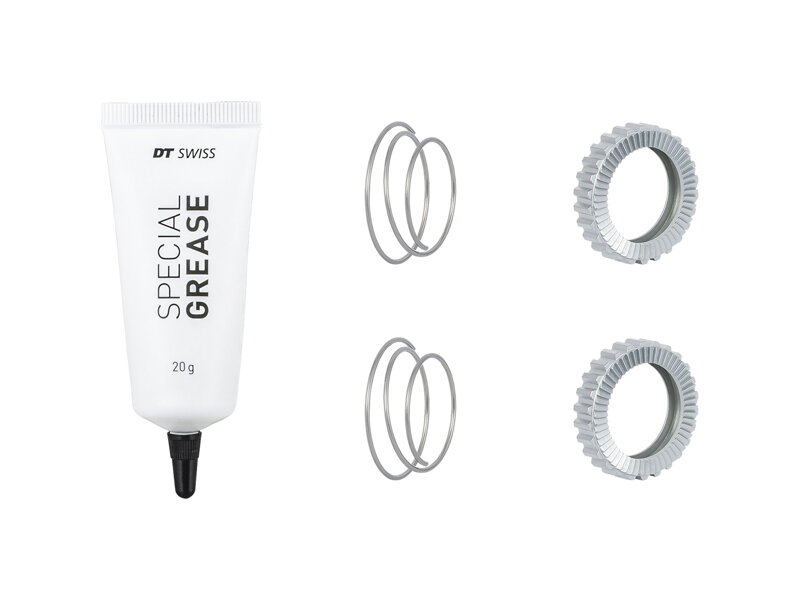 Bontrager DT Swiss 54 Tooth Superlight Star Ratchet Kit - Strieborná Bontrager DT Swiss 54 Tooth Superlight Star Ratchet Kit - Strieborná