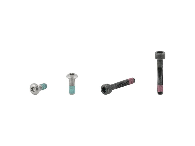 Electra Townie Go! 5i Rack Bolt Set - Strieborná
