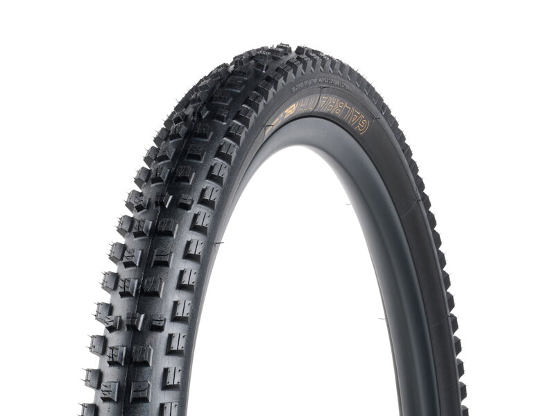 Pneumatika Bontrager Galbraith RSL SE TLR MTB - Čierna