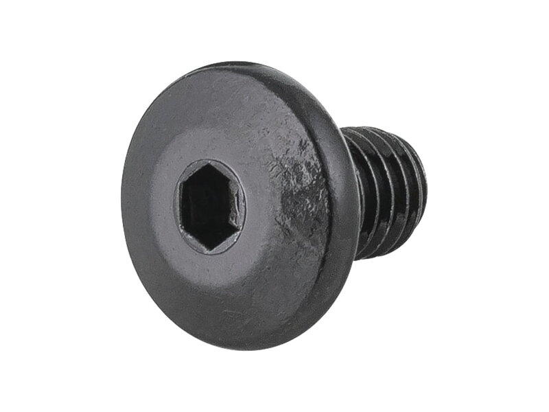 Bontrager Line Dropper Seatpost Cartridge Mounting Screw - Čierna
