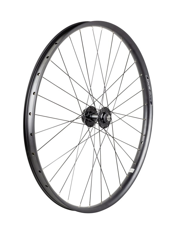 Electra Townie Path 6-Bolt Disc 27.5" Wheel - Čierna Electra Townie Path 6-Bolt Disc 27.5" Wheel - Čierna