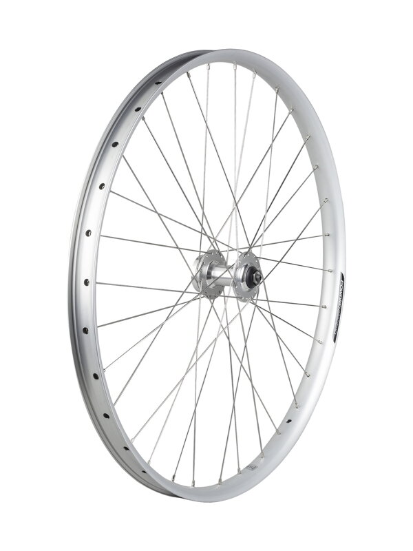 Electra Townie Path 6-Bolt Disc 27.5" Wheel - Strieborná Electra Townie Path 6-Bolt Disc 27.5" Wheel - Strieborná