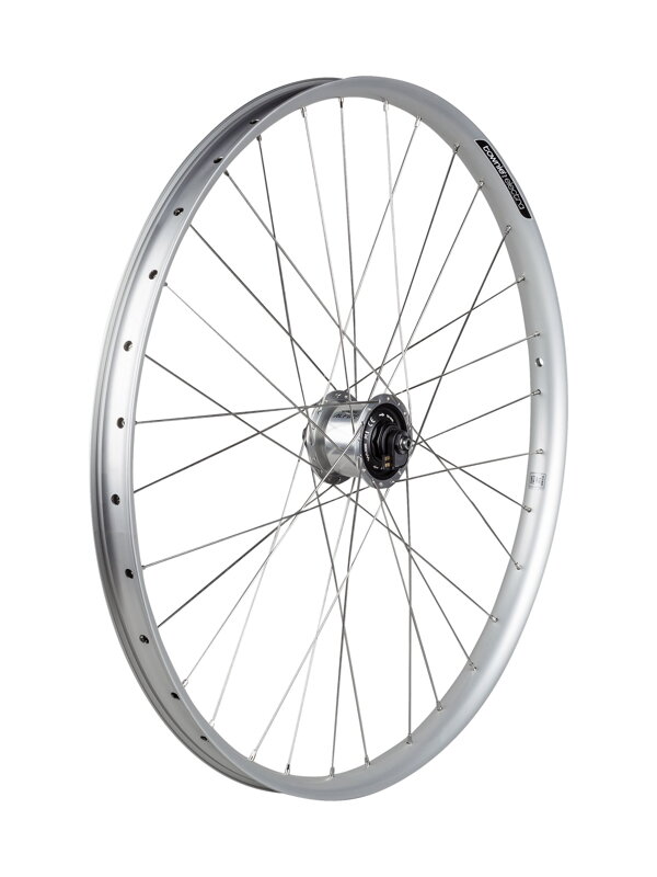 Electra Townie Path EQ 6-Bolt Disc 27.5" Wheels - Strieborná Electra Townie Path EQ 6-Bolt Disc 27.5" Wheels - Strieborná