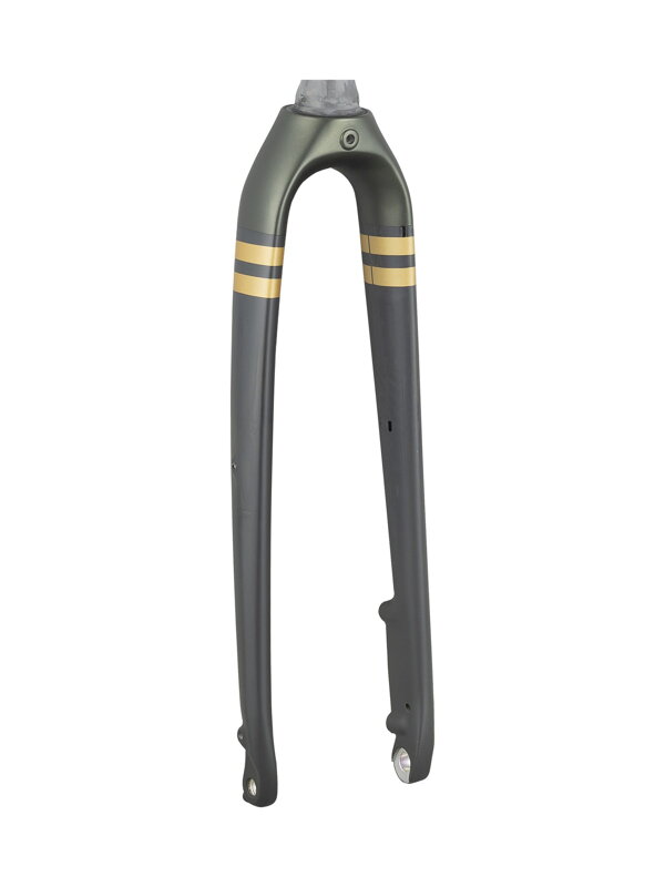 Trek 2021 Checkpoint SL 700c Rigid Forks - Black Olive/Old Style Gold Trek 2021 Checkpoint SL 700c Rigid Forks - Black Olive/Old Style Gold