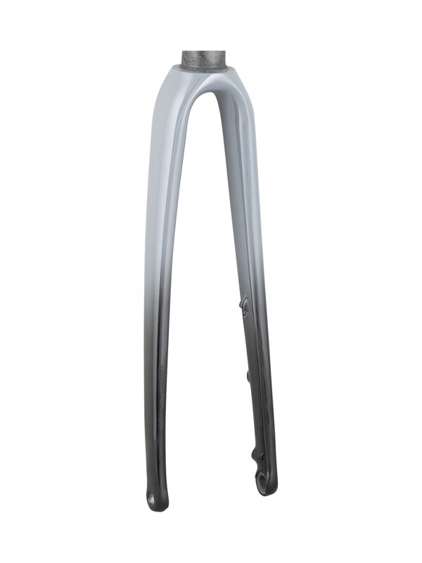 Trek 2021 Emonda ALR 5 700c Rigid Forks - Bridlicová/Trek Black Trek 2021 Emonda ALR 5 700c Rigid Forks - Bridlicová/Trek Black