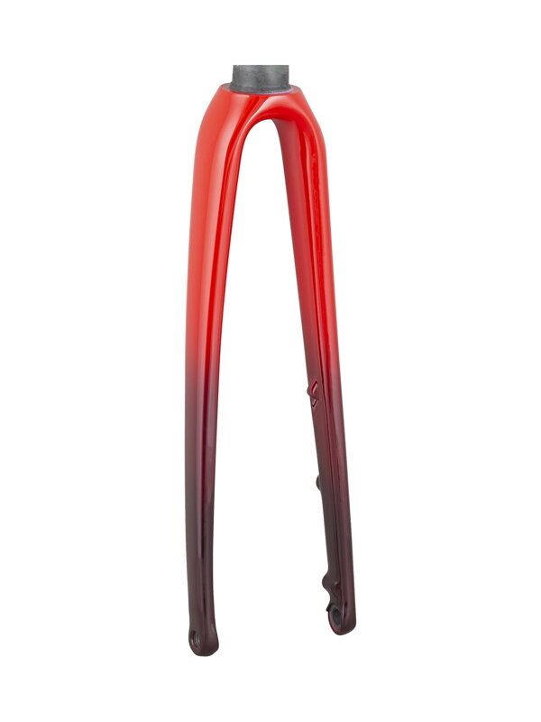 Trek 2021 Emonda ALR 6 700c Rigid Forks Trek 2021 Emonda ALR 6 700c Rigid Forks