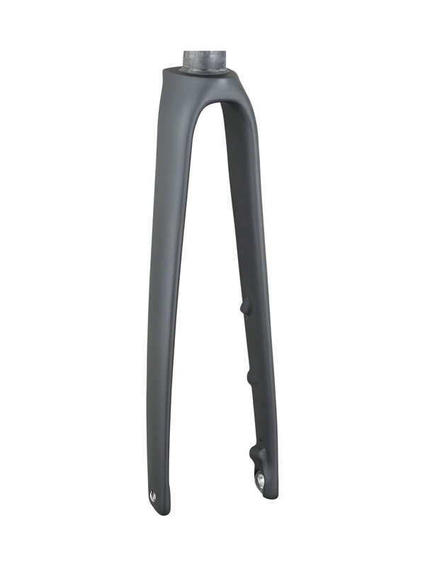 Trek 2021 Emonda SLR 700c Rigid Forks - Onyx Carbon Trek 2021 Emonda SLR 700c Rigid Forks - Onyx Carbon