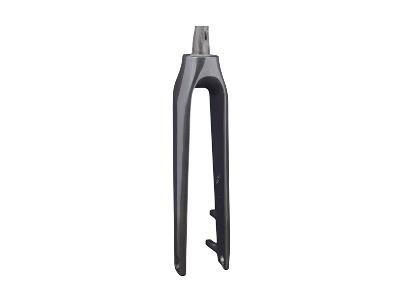 Trek 2020-2022 Allant+ 9.9 700c Rigid Forks - Dark Prismatic