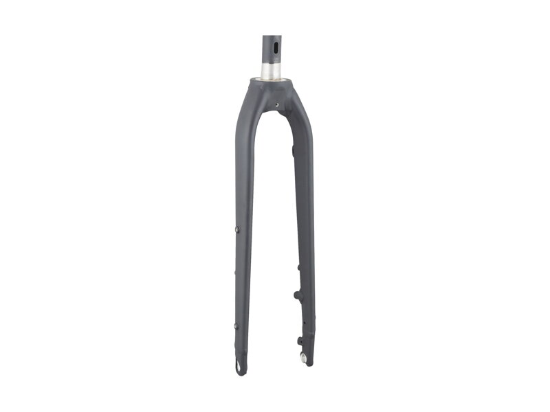 Trek-Diamant 2023 Rubin Legere 700c Rigid Fork - Trek Black