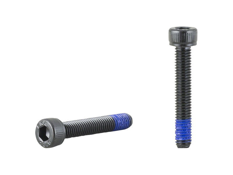 Trek-Diamant SKS Rear Fender Socket Head Bolt - Čierna Trek-Diamant SKS Rear Fender Socket Head Bolt - Čierna